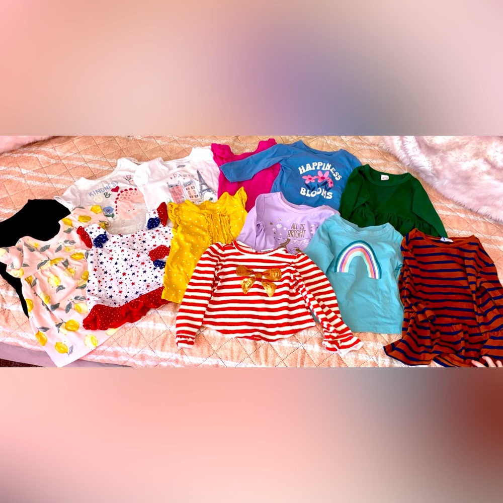 x13 Girls 12 Months Shirts lot